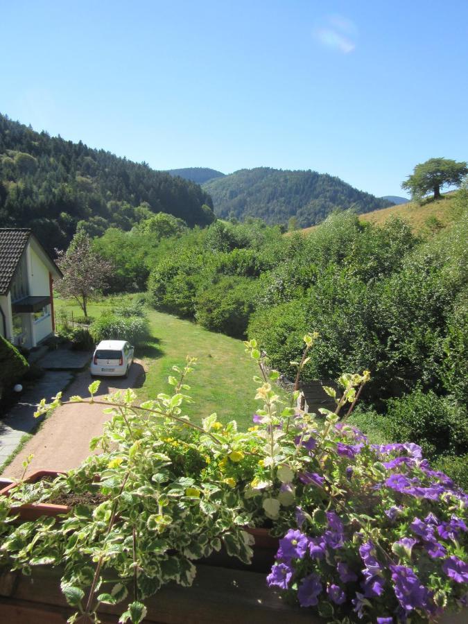 Ferienwohnungen Schwabenhof Schramberg Exteriör bild