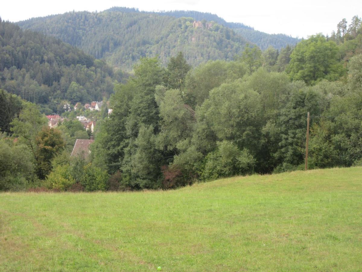 Ferienwohnungen Schwabenhof Schramberg Exteriör bild